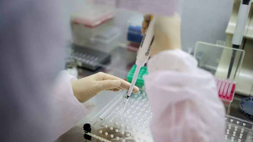 В России за сутки проведено почти 500 тысяч тестов на коронавирус