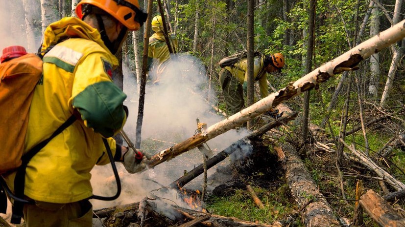 В России за сутки потушили 13 лесных пожаров
