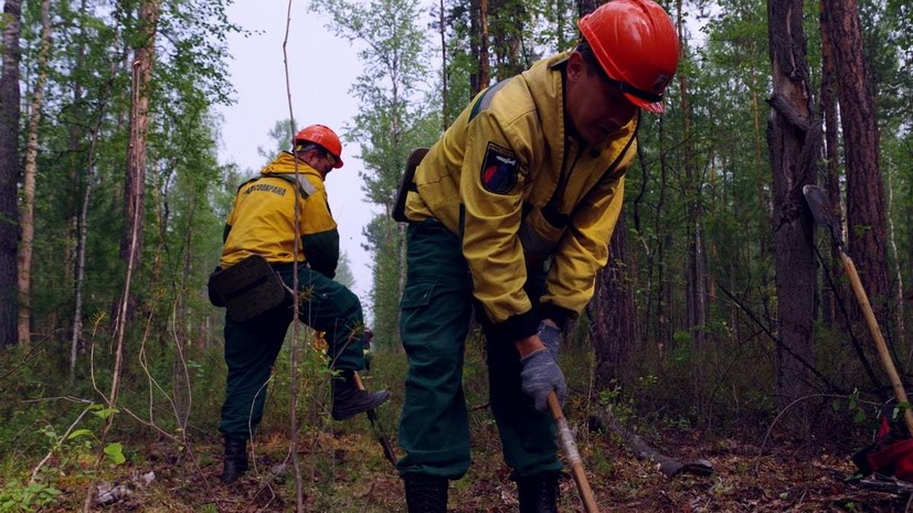 В России за сутки потушили 21 лесной пожар