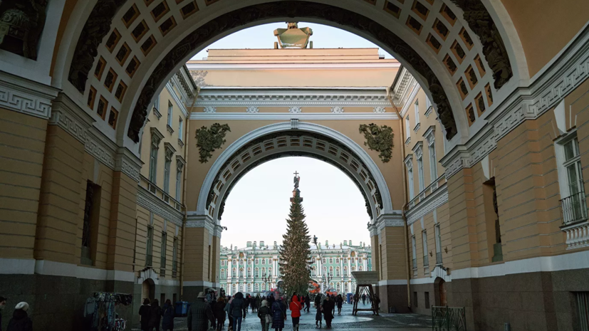 В Петербурге началось голосование по выбору новогодней ели для Дворцовой площади