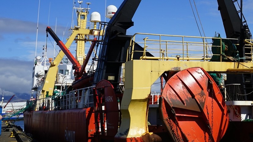 Правительство России одобрило запрет на промышленный вылов китов