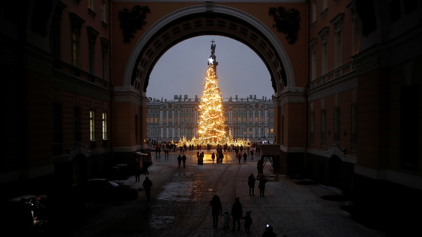 В Петербурге выбрали новогоднюю ель для Дворцовой площади