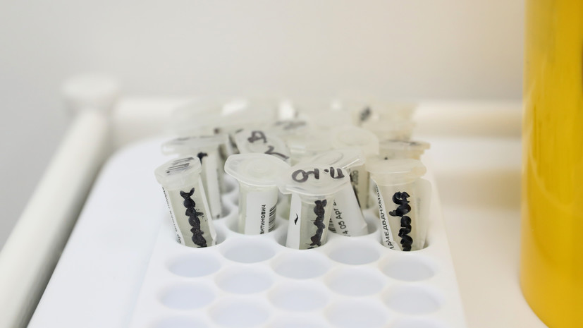 В Тюменской области, ХМАО и ЯНАО зарегистрировали 535 новых случаев ...