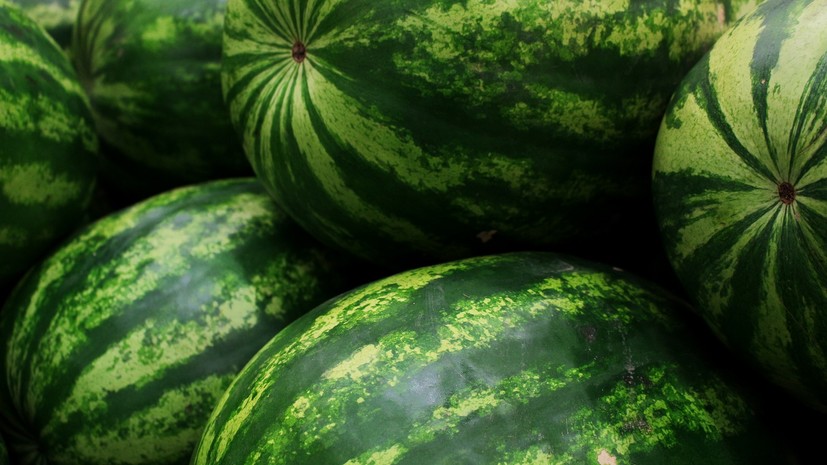 Дезинсектора по делу об отравлении арбузом в Москве перевели под домашний арест