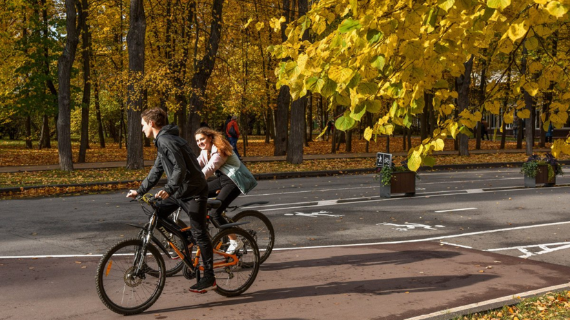В «Фобосе» спрогнозировали дату окончания золотой осени в Московском регионе