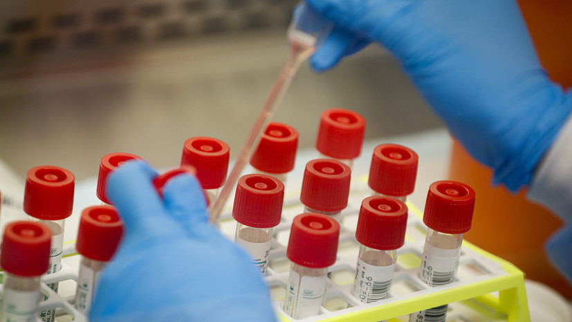 Академик РАН Ершов прокомментировал ситуацию с чумой