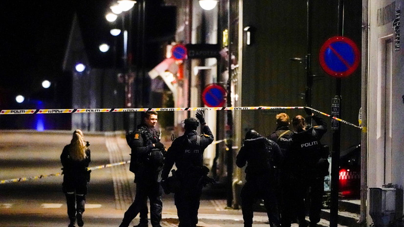 Полиция Норвегии назвала терактом нападение в Конгсберге 