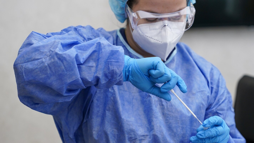 В Подмосковье с начала пандемии сделали более 11 млн ПЦР-тестов на COVID-19