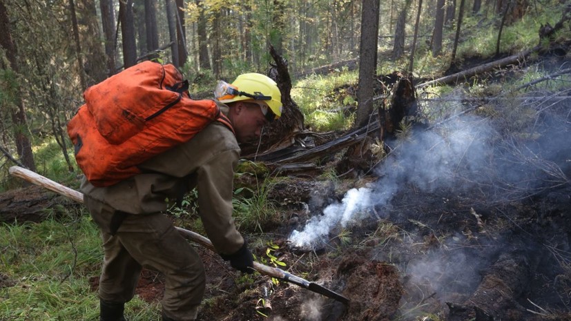 В России потушили 6 природных пожаров за сутки