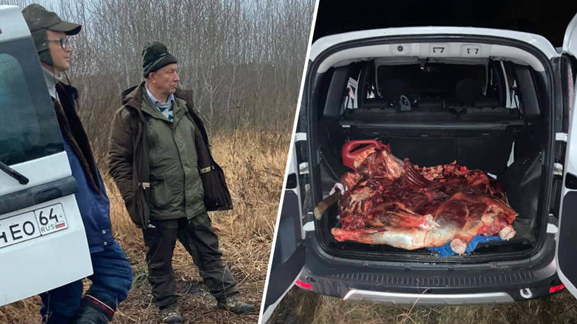 «Ждали, пока погрузят мясо»: что известно о возможной причастности депутата ГД Рашкина к незаконной охоте