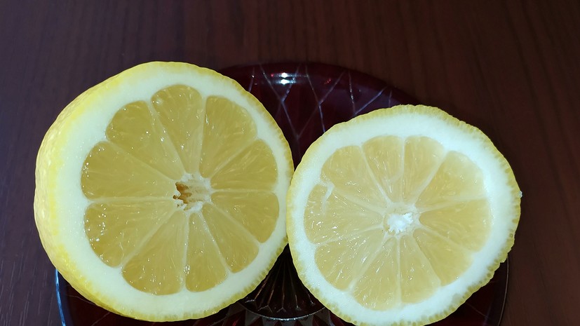 В России приостановлен импорт лимонов одного из турецких предприятий