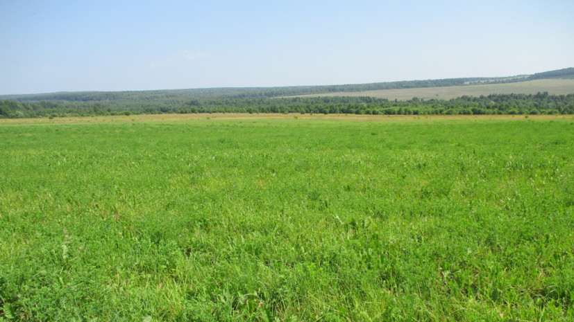 В Подмосковье врачам предоставили 55 земельных участков