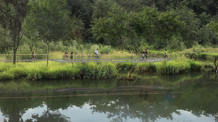 На портале «Активный гражданин» запустят серию голосований по проектам благоустройства