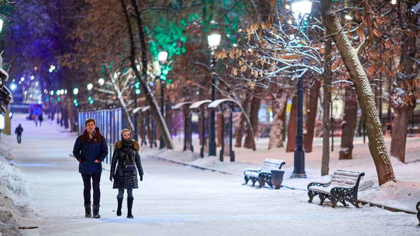 Синоптики рассказали, когда ожидать прихода зимы в Москву