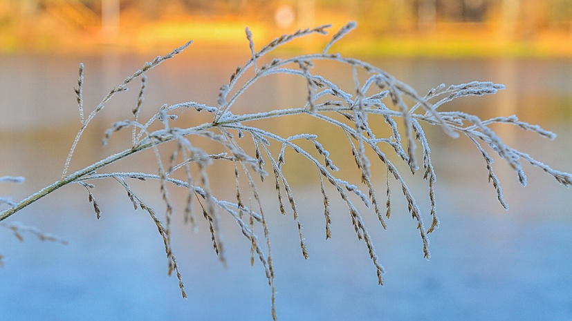 В центре погоды «Фобос» рассказали о похолодании в Подмосковье в ближайшие дни