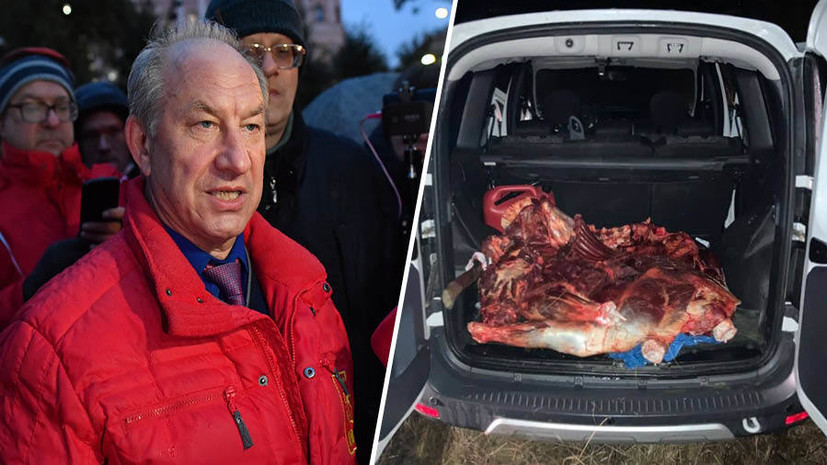 «Я стал жертвой обстоятельств»: подозреваемый в незаконной охоте депутат Рашкин признался в убийстве лося
