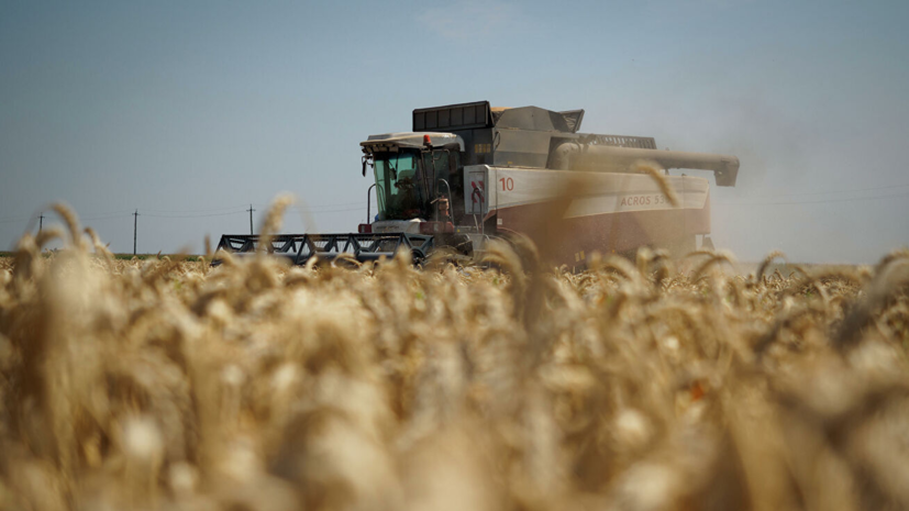 Крым занял первое место в ЮФО по темпам роста производства сельхозпродукции в 2021 году