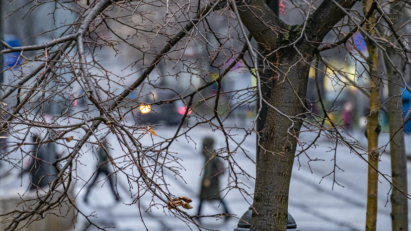 В Москве 20 ноября ожидается до +3 °С
