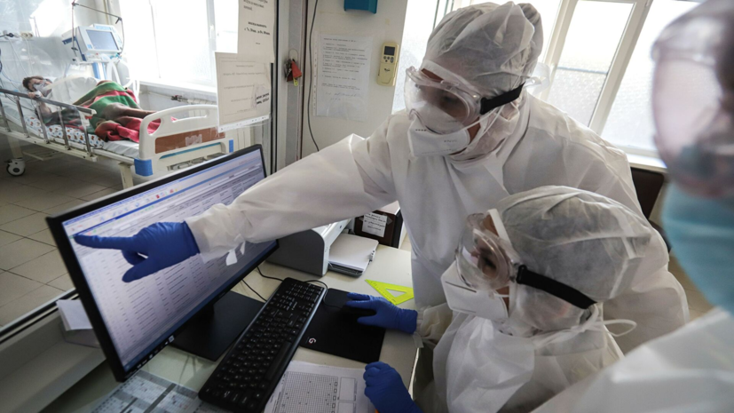 В Мурманской области выявили 229 случаев коронавируса за сутки