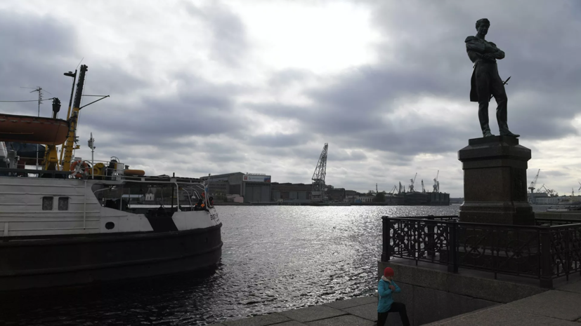 В МЧС предупредили об усилении ветра до 17 м/с в Петербурге