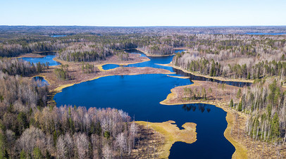 Лесное озеро в Пряжинском районе Республики Карелия