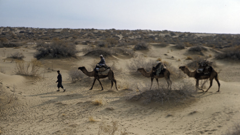 В песках Туркестана: тест RT о российском присутствии в Средней Азии