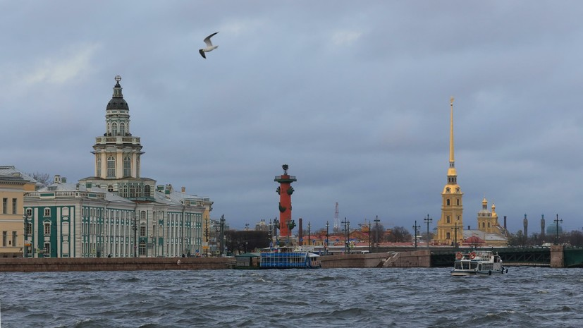 Аналитики рассказали о самых востребованных профессиях года в Петербурге