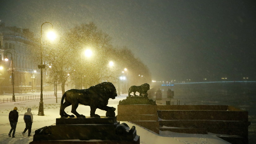 Спасатели предупредили о резком усилении ветра в Петербурге