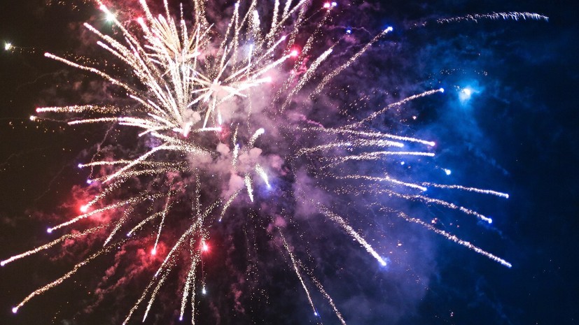 Заслуженный спасатель России призвал не использовать пиротехнику в присутствии животных