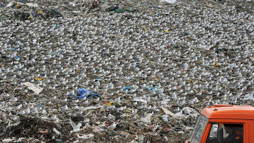 В Ульяновской области сообщили о планах по рекультивации свалок в 2022 году