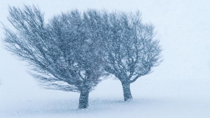 На Кубани объявили экстренное предупреждение из-за сильного ветра