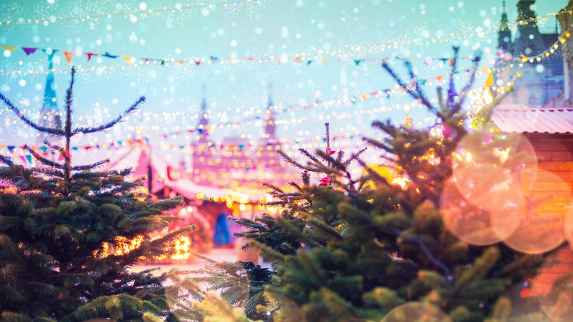 В WWF рассказали об экологичном подходе к выбору новогоднего дерева