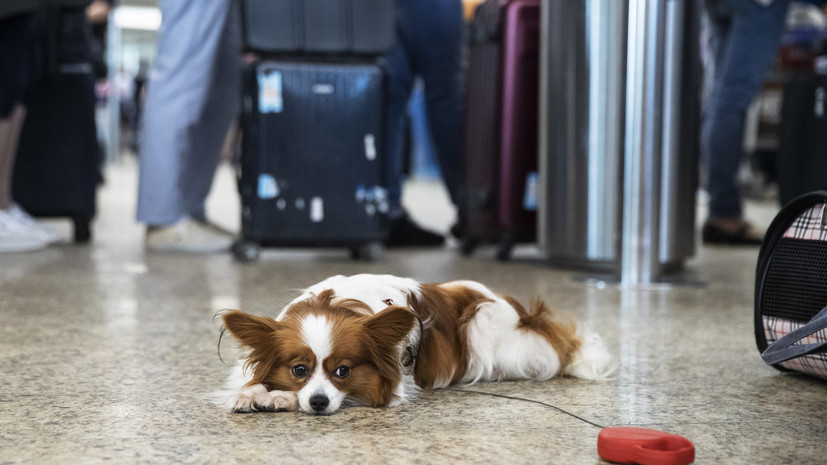 Более десяти авиарейсов задержали на Камчатке из-за плохой погоды