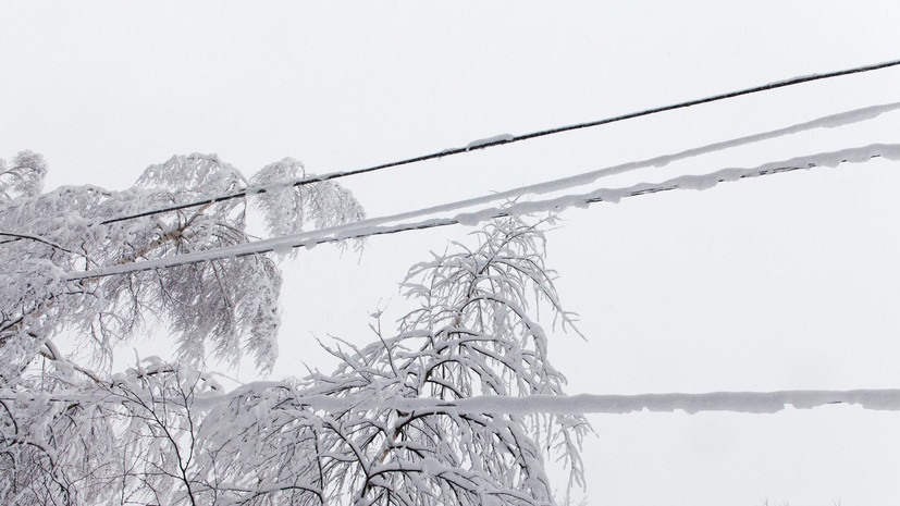 В Новгородской области более 140 населённых пунктов остались без света из-за снегопада