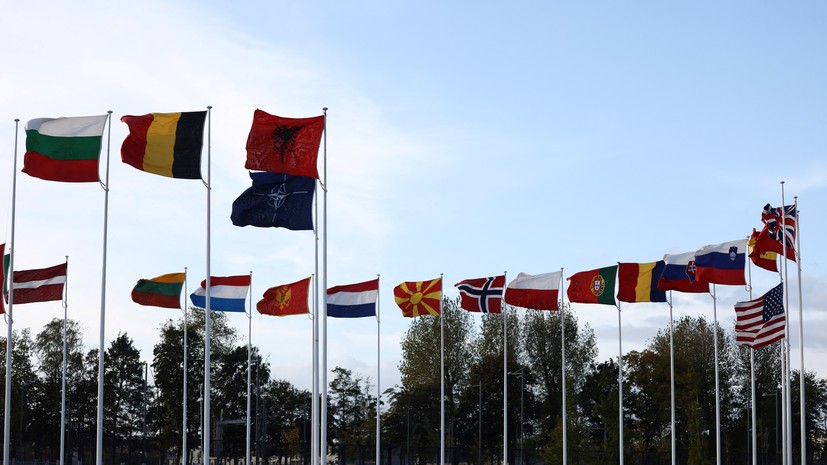 Замгоссекретаря Нуланд: НАТО не является угрозой для России