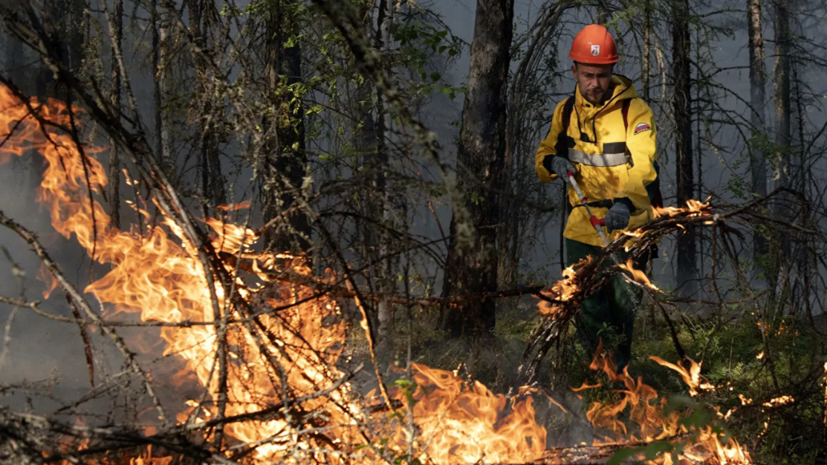 Власти Якутии произвели выплаты мобилизованным для тушения лесных пожаров жителям