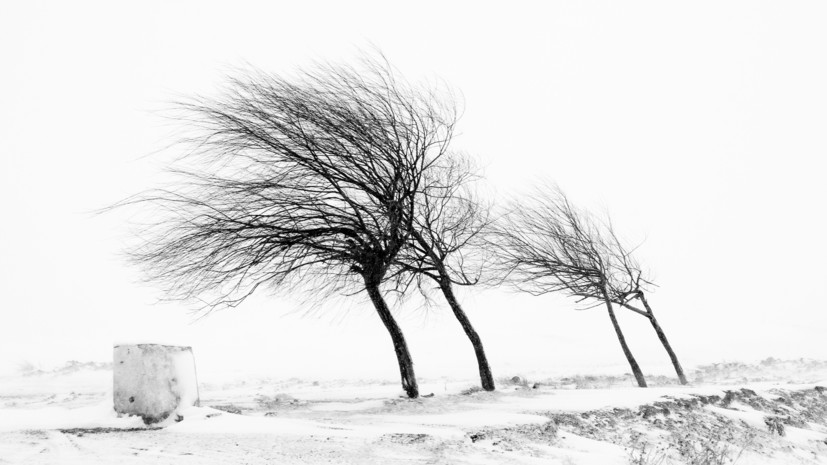 Спасатели предупредили об усилении ветра в Крыму до 22 м/с