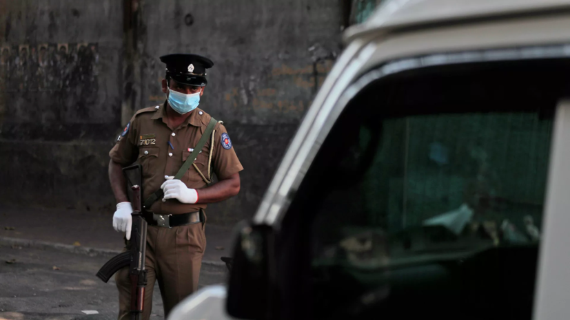 Осуждённые в Шри-Ланке за сбор жуков россияне вернулись на родину