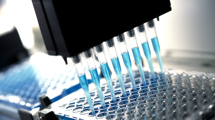 Профилактолог Токарев высказался об иммунитете после «омикрона»