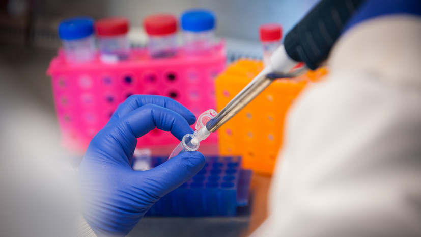 В центре имени Гамалеи заявили, что «омикрон» не сможет полностью вытеснить «дельту»