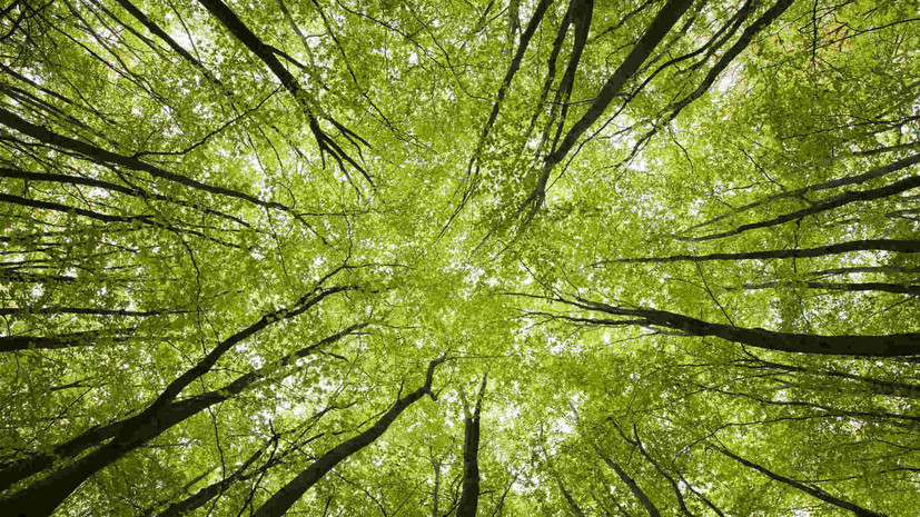 В Тульской области создали ещё две особо охраняемые природные территории