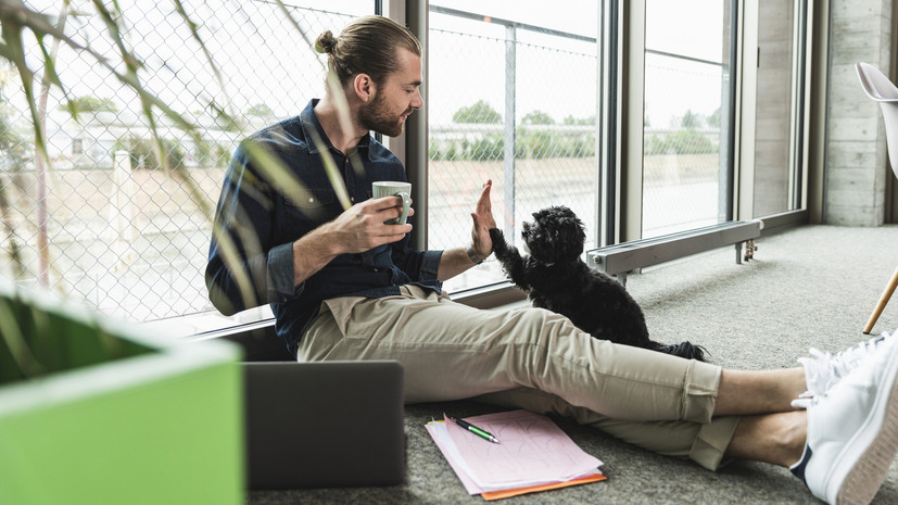 Число самозанятых в Архангельской области выросло до 14 тысяч