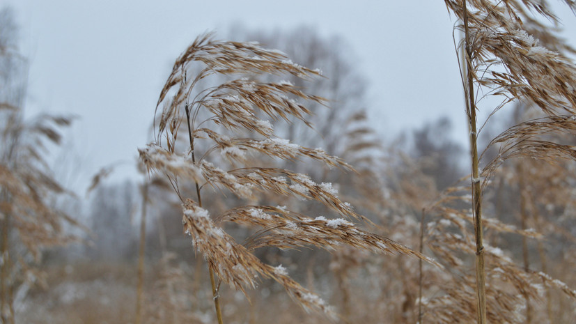 Синоптики предупредили о сильном ветре в Свердловской области 18 февраля