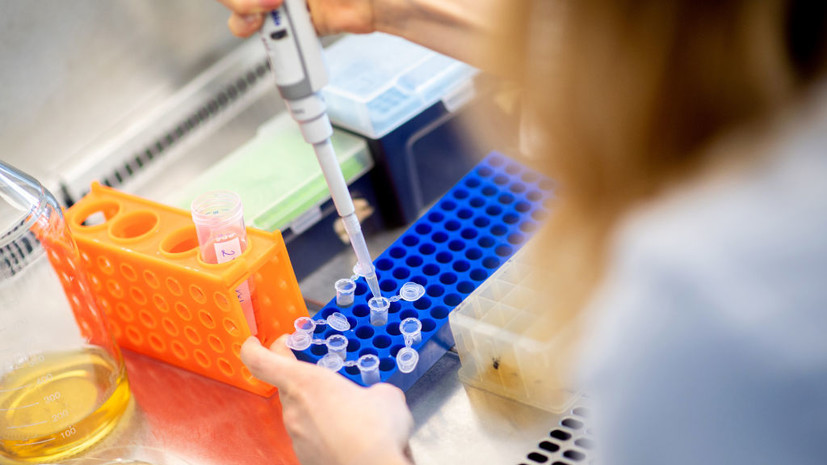 Иммунолог Крючков высказался об антителах к COVID-19