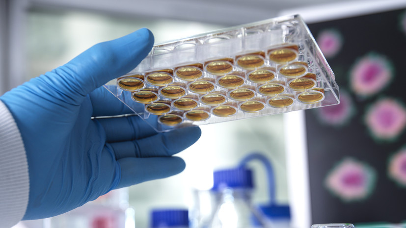 Врач Шамгунова рассказала о рисках повторного инфицирования COVID после заболевания корью