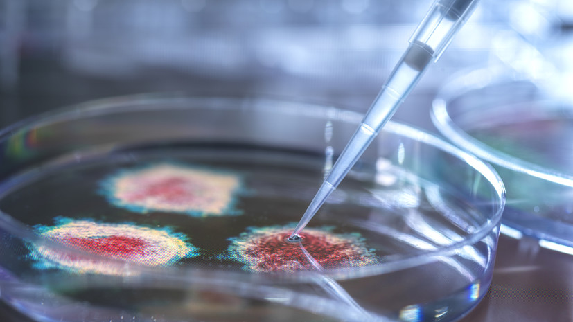 Учёный Волчков предположил, за какой срок в организме формируются антитела к «омикрону»