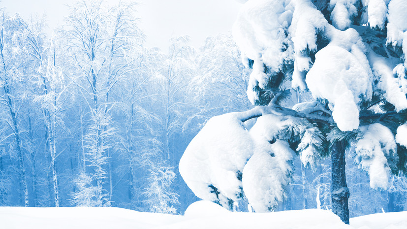 В ХМАО прогнозируют похолодание до -20 °С в ночь на 1 марта