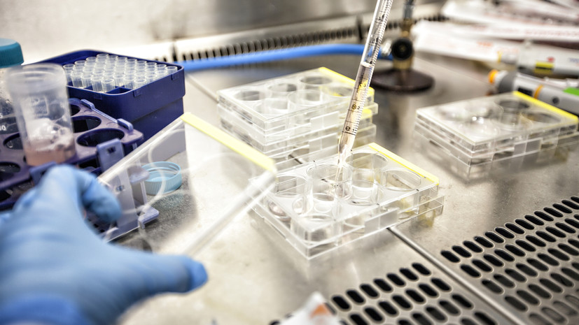 В Волгоградской области подтвердили 1120 случаев коронавируса за сутки