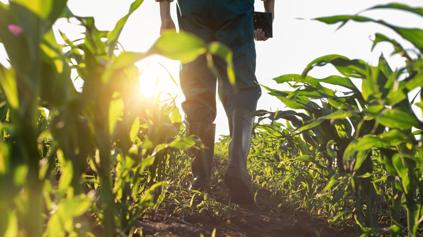 Юрист Петрикова рассказала о нововведениях для фермеров по строительству жилых домов