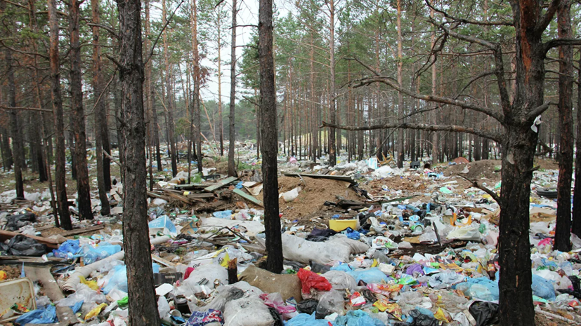Ликвидация свалок на Ставрополье позволит вернуть более 700 га полезных земель